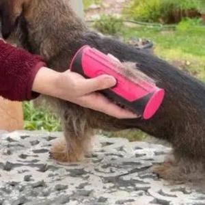 pet owner combs small dog with Fur Sweep
