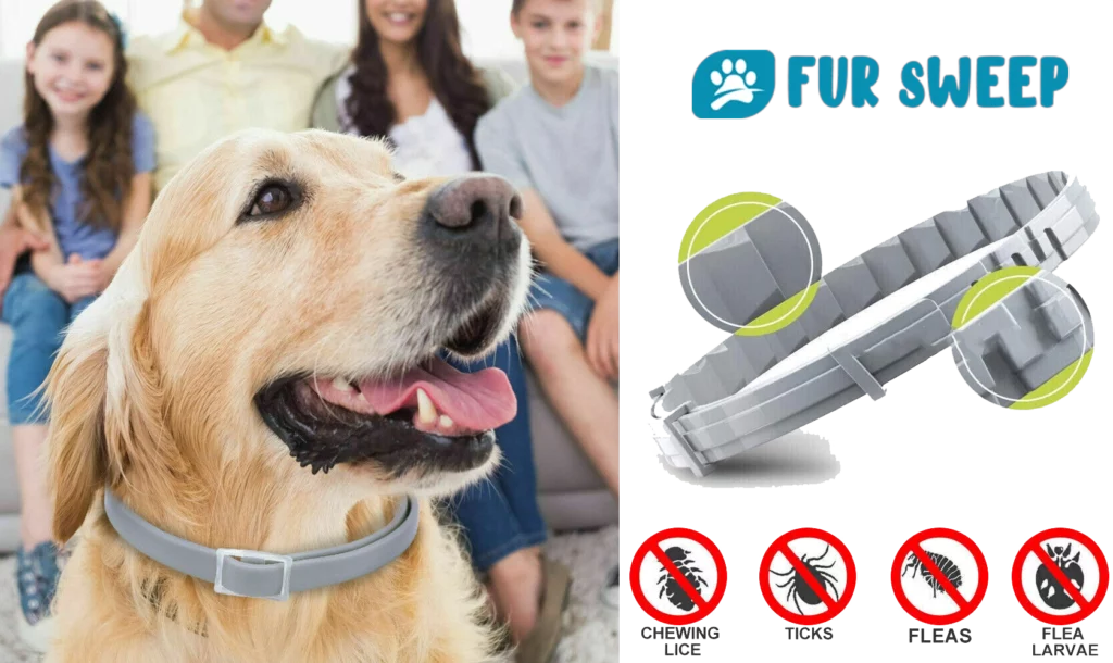 fursweep collage. A happy dog wearing the collar. The product itself in a transparent background along with the brand's name