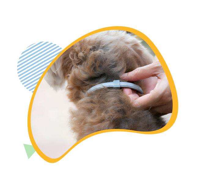 image of a hand showing Fur Sweep Collar on the neck of a dog